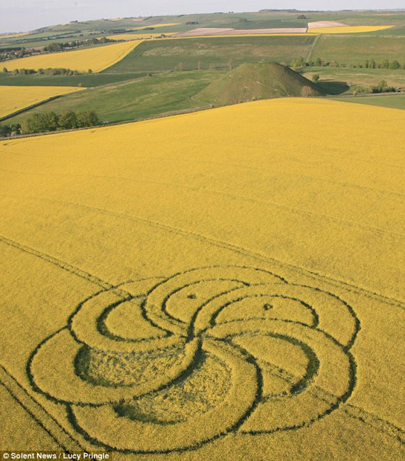 First Crop Circle of 2011 in a field near Silbury Hill Wiltshire