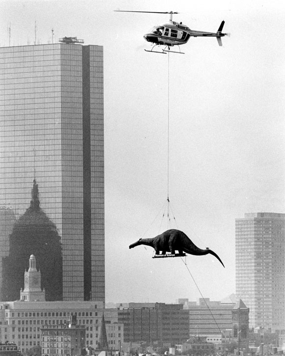 Delivering dinosaurs for exhibit at the Boston Museum of Science. Arthur Pollock,1984