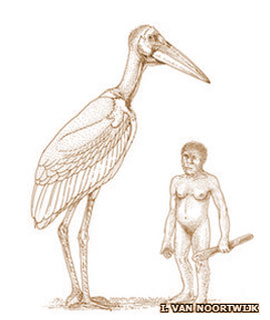 Artist’s impression of Giant Stork next to a Homo floresiensis hobbit
