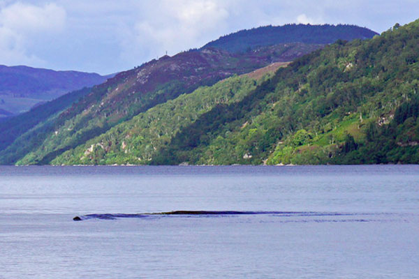 New Loch Ness Photo