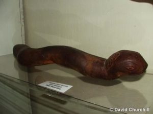 Carving of the Mongolian Deathworm or common snake?