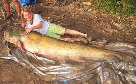 Girl catches Giant Catfish